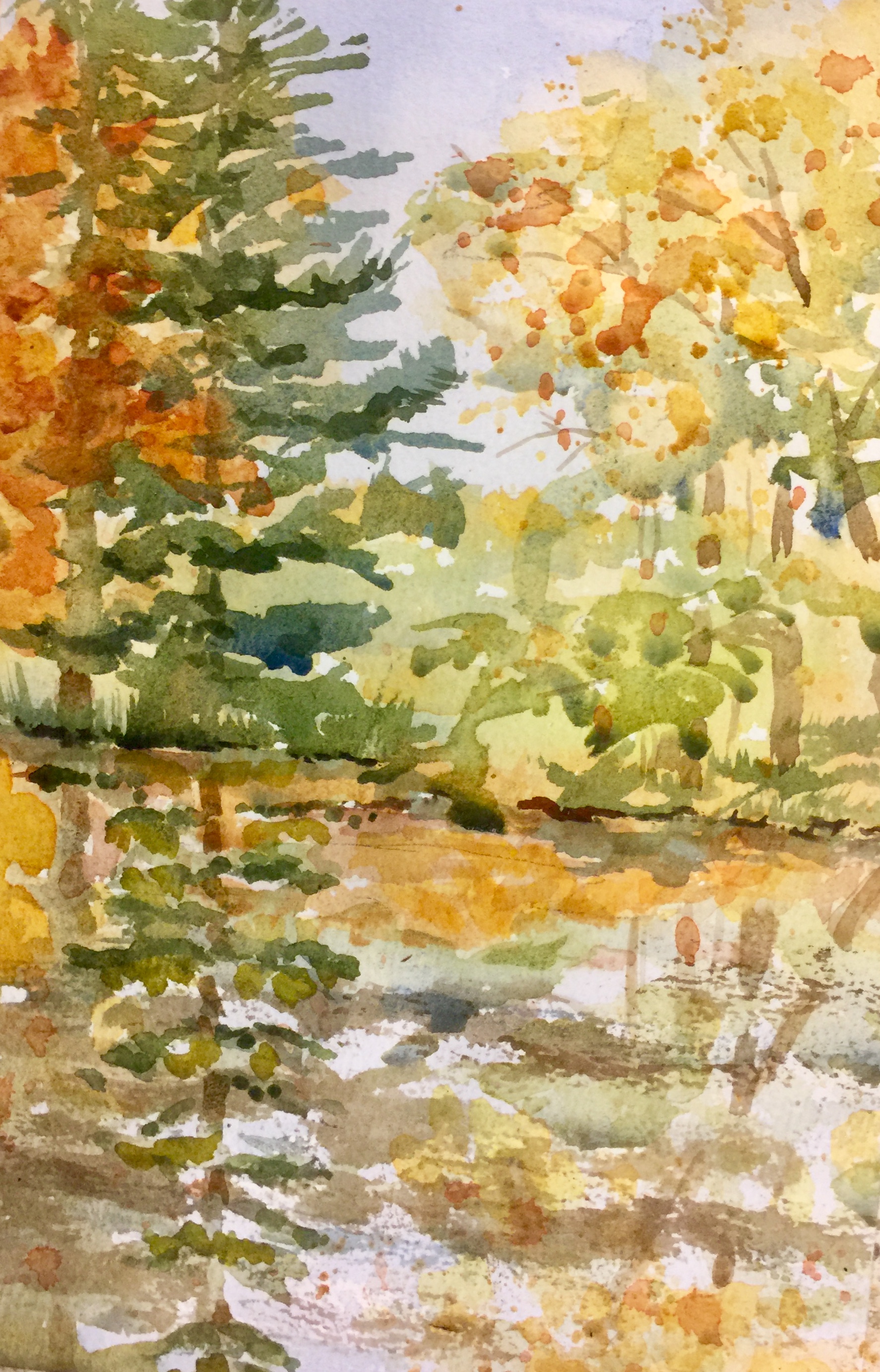 Autumn Splendor, by Jane Brennan