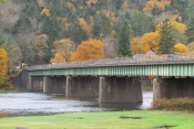 Callicoon Bridge, NY