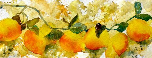 Fresh Picked Lemons, by Jane Brennan