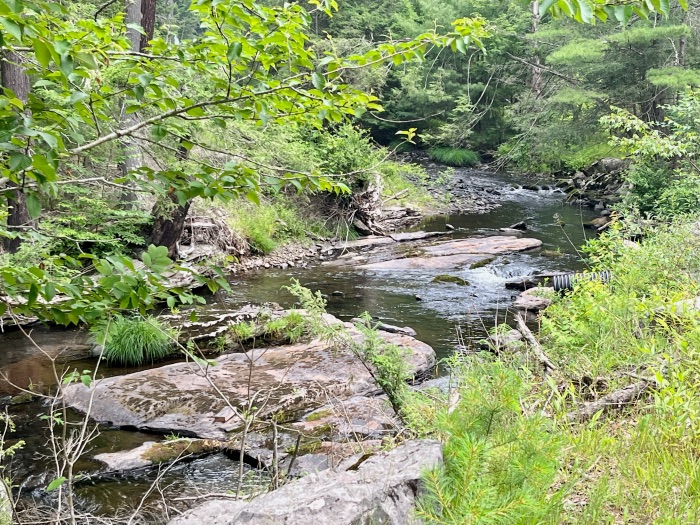 Halfway Brook