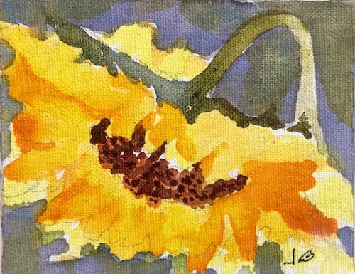 Jane's Sunflower, by Jane Brennan