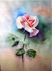 The Rose, by Jane Brennan 