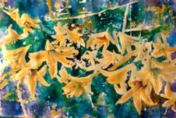 Yellow Lillies, by Jane Brennan 